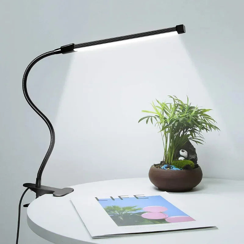 Lampe pince