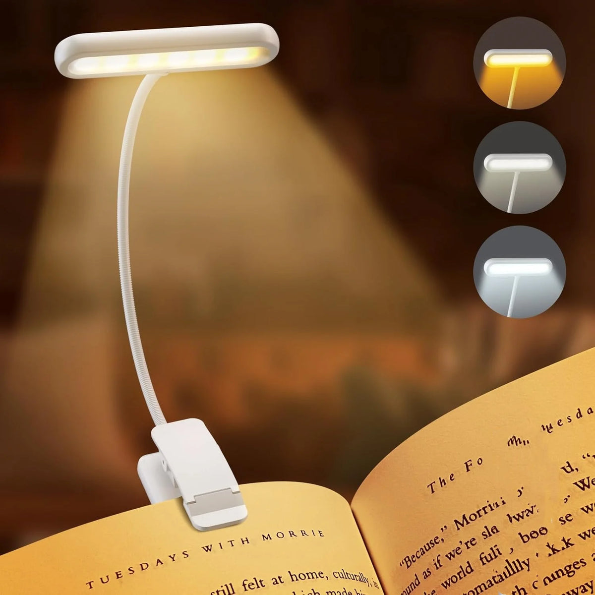 lampe liseuse livre