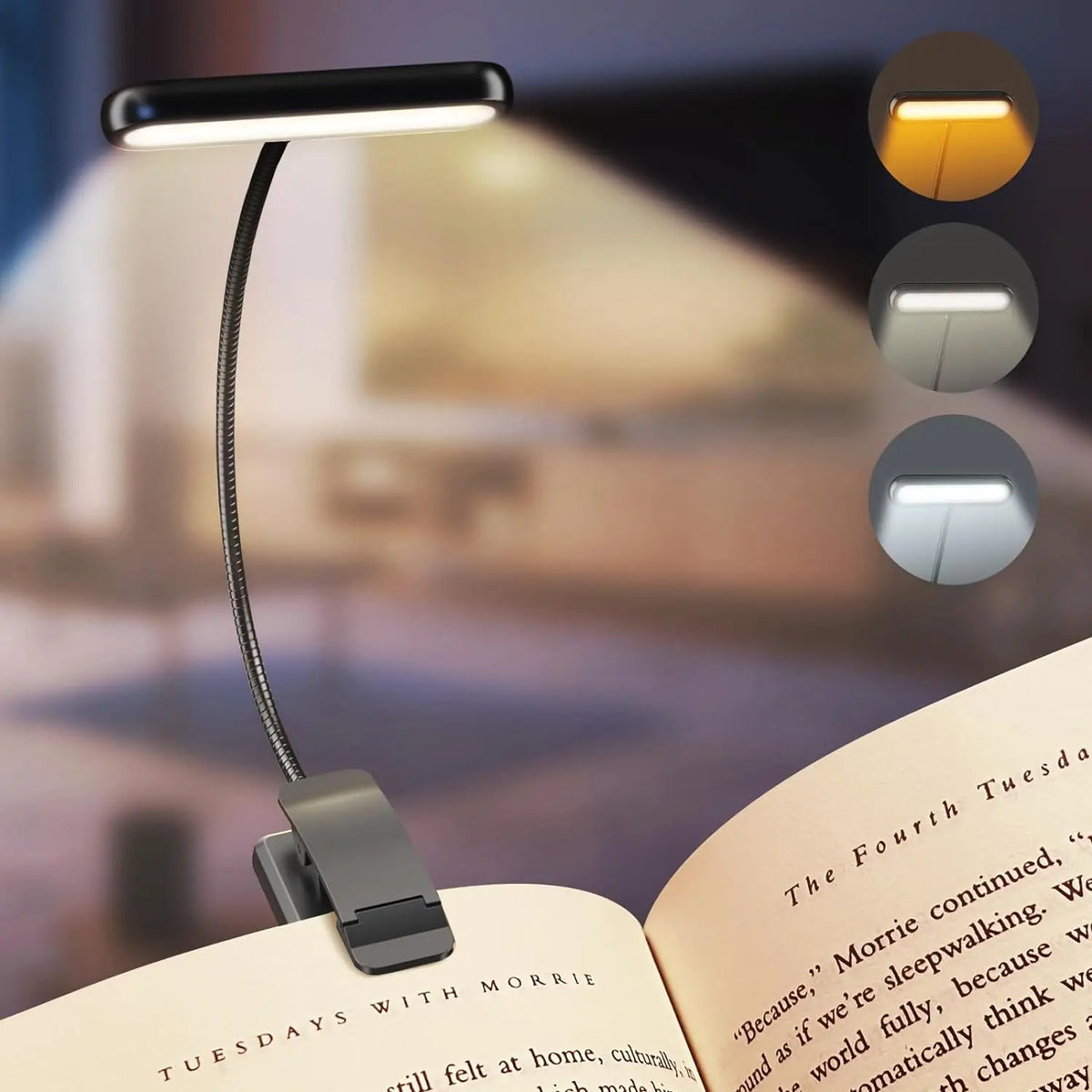 lampe liseuse livre