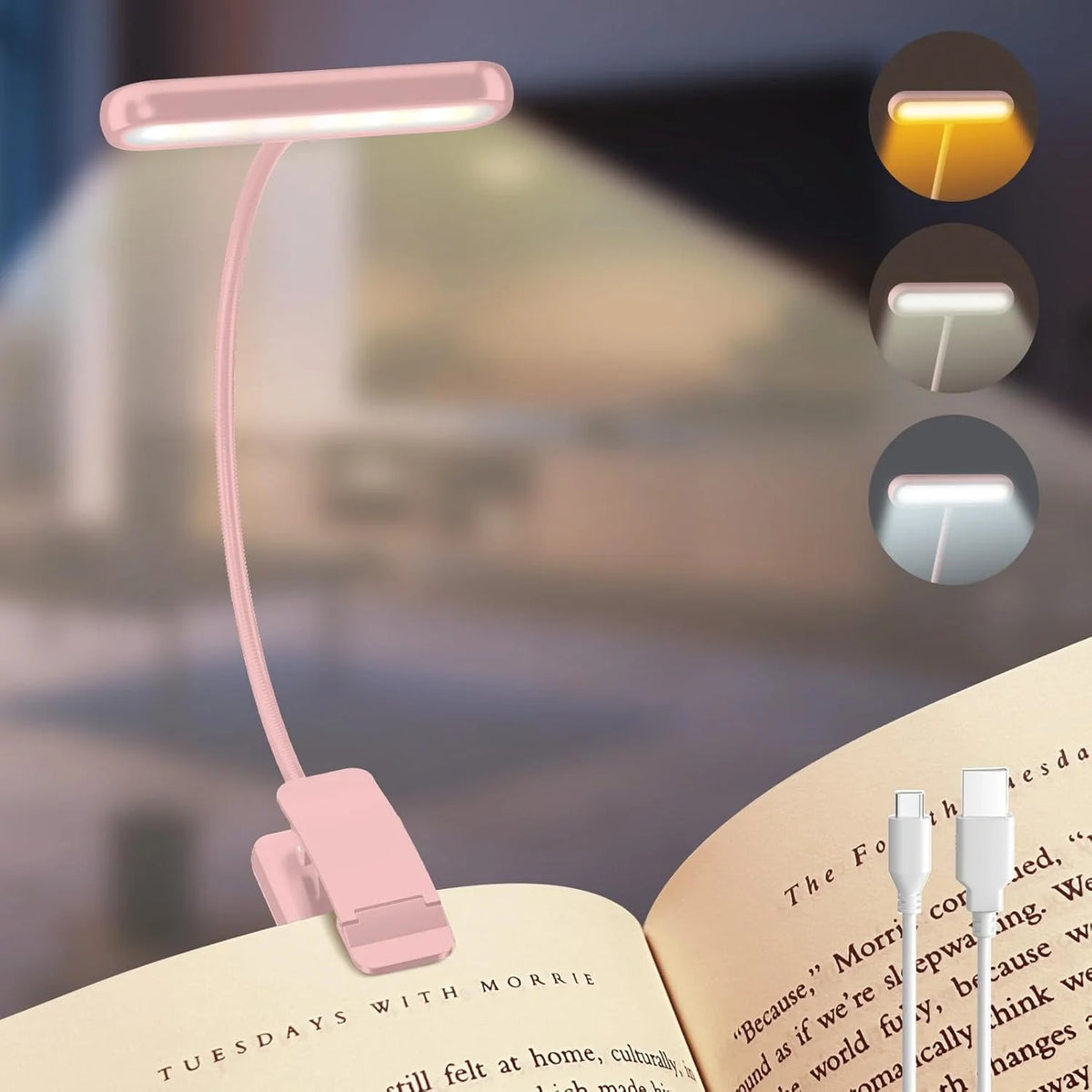 lampe liseuse livre